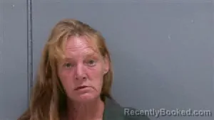 Mugshot of Christine Leigh Childers booked in Darlington County, South Carolina on September 14, 2026