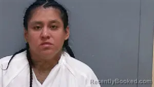 Booking photo from Darlington County, South Carolina