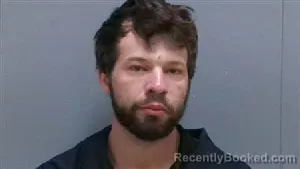 Mugshot of RYAN ADAM GODFREY
