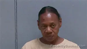 Mugshot of CYNTHIA DENISE HOLMES booked in Darlington County, South Carolina on July 6, 2026