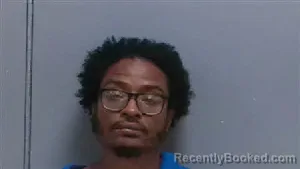 Mugshot of James Daye booked in Darlington County, South Carolina on August 2, 2026