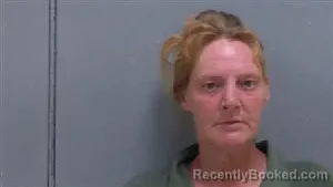 Mugshot of CHRISTINE LEIGH CHILDERS ASHE booked in Darlington County, South Carolina on July 29, 2026