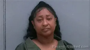 Mugshot of STACEY ANN MCFARLAND booked in Darlington County, South Carolina on July 8, 2026