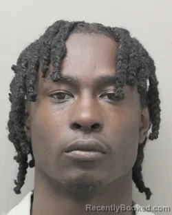 Mugshot of BRIAN K SCHEXNAYDER