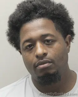 Mugshot of RONALD LEWIS