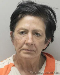 Mugshot of DAWN LYNN CLARK