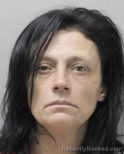 Mugshot of TINA MICHELLE LANGLINAIS