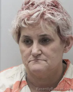 Mugshot of ELIZABETH DENISE WALSH