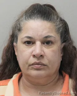 Mugshot of ERIKA MICHELLE POMMIER