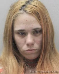 Mugshot of LINDSEY MARIE BOUDREAUX