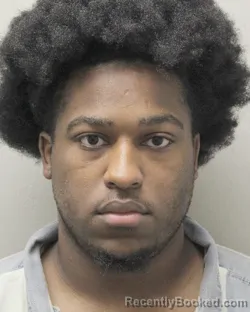 Mugshot of JAHEIM DEMAINE PALMER