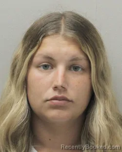 Mugshot of LEAH RENAE CLEMENT