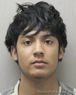 Mugshot of SEBASTIAN LOPEZ VALENZUELA