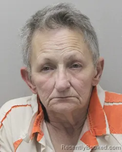 Mugshot of MARIE H BOUTIN