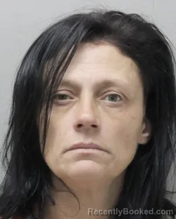 Mugshot of Tina Michelle Langlinais booked in Vermilion County, Louisiana on September 12, 2026