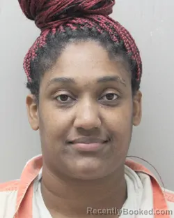 Mugshot of Breneisha Lachelle Levine booked in Vermilion County, Louisiana on September 2, 2026
