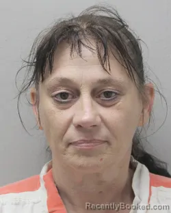 Mugshot of Theresa Anne Menard booked in Vermilion County, Louisiana on September 16, 2026