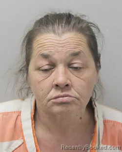 Mugshot of CATHERINE MICHELLE HARRIS booked in Vermilion County, Louisiana on May 20, 2026
