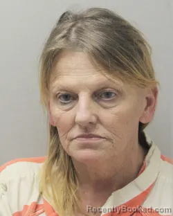 Mugshot of Tammy M Lee booked in Vermilion County, Louisiana on September 28, 2026