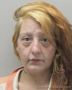 Mugshot of STACEY AMBER CONNER booked in Vermilion County, Louisiana on July 9, 2026