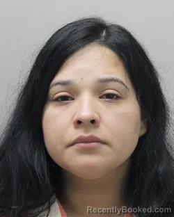 Mugshot of Maria Levya booked in Vermilion County, Louisiana on October 4, 2026