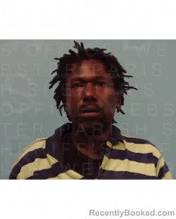 Booking photo from Webster Parrish, Louisiana