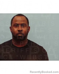 Booking photo from Webster Parrish, Louisiana