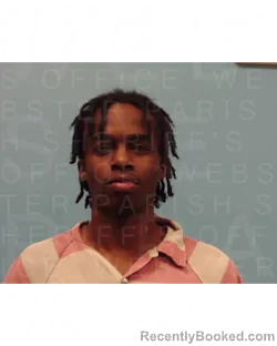 Mugshot of LATROY WALKER