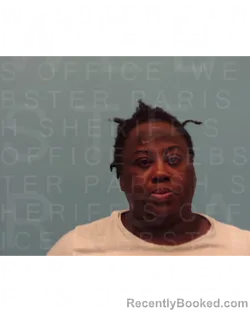 Booking photo from Webster Parrish, Louisiana