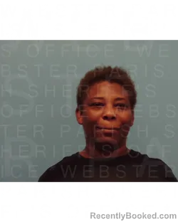 Mugshot of NICOLE DIANE MILLER