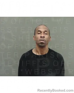 Booking photo from Webster Parrish, Louisiana