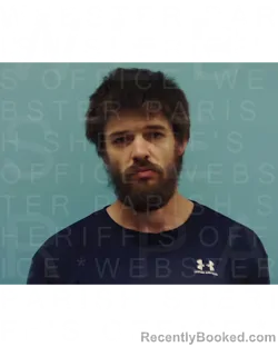 Mugshot of AUSTIN WAYNE PERKINS