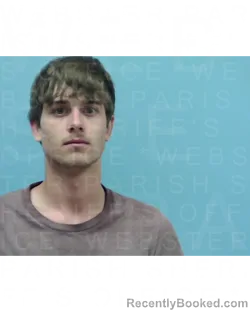 Mugshot of LANDON SCOTT WAFER