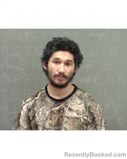 Mugshot of JAMES D LIMOSNERO