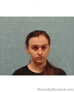 Mugshot of HANNAH BELLE NIPPER