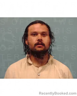 Mugshot of DAVID CURRIE