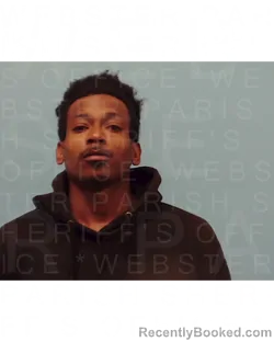 Mugshot of TYRIES LEEANTHONY BRYANT