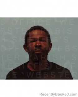 Mugshot of DEREK D FRANKLIN