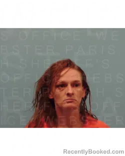 Mugshot of KAMI DODGE