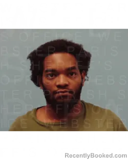Booking photo from Webster Parrish, Louisiana