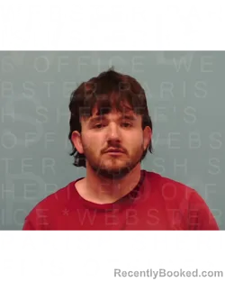 Mugshot of TYLER POWELL