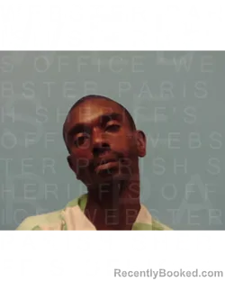 Mugshot of PETER LOUIS