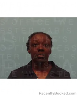 Mugshot of SHONDREKA MCGLOTHERN