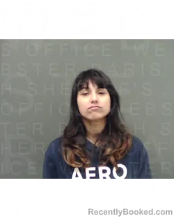 Mugshot of SARAH JANE LANE