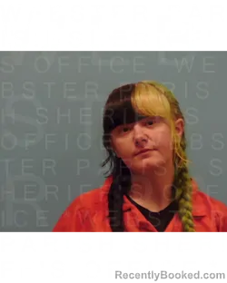 Mugshot of ALLISON RUSHING booked in Webster County, Louisiana on March 27, 2026