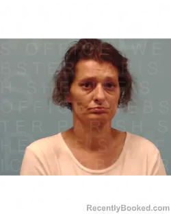 Mugshot of AMANDA JORDAN booked in Webster County, Louisiana on April 1, 2026