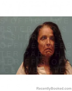 Mugshot of MARANDA RICHARDSON booked in Webster County, Louisiana on April 1, 2026