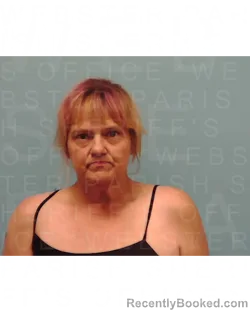 Mugshot of LORI ANN JOHNSON booked in Webster County, Louisiana on April 2, 2026