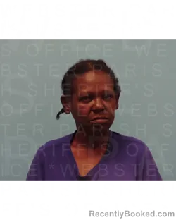 Mugshot of DEBRA LYNN GERMANY booked in Webster County, Louisiana on April 4, 2026