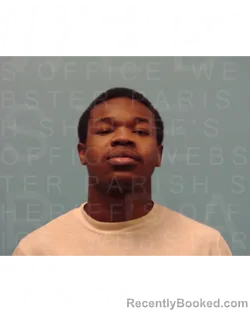 Mugshot of KEVION MCGEE booked in Webster County, Louisiana on April 13, 2026